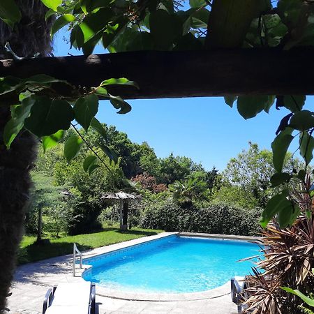 Quinta De Ribas Villa Amarante Bagian luar foto