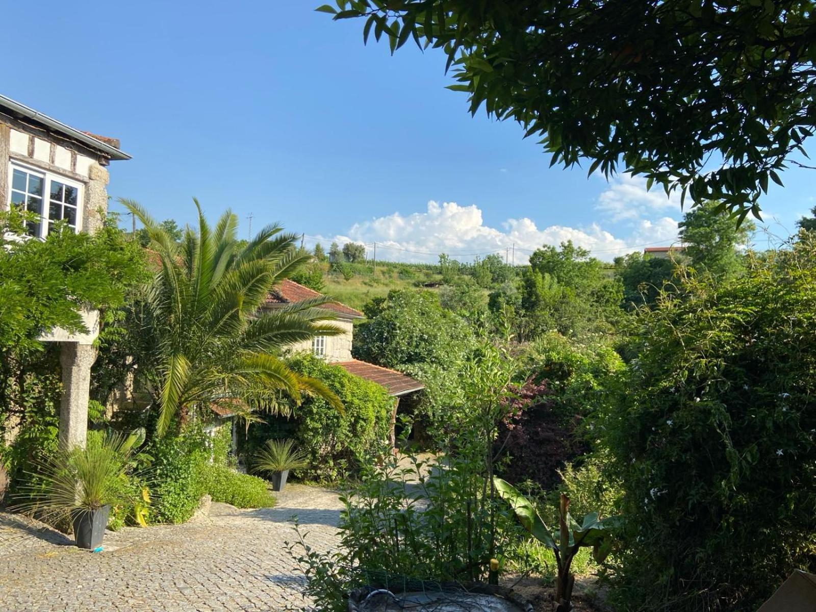 Quinta De Ribas Villa Amarante Bagian luar foto
