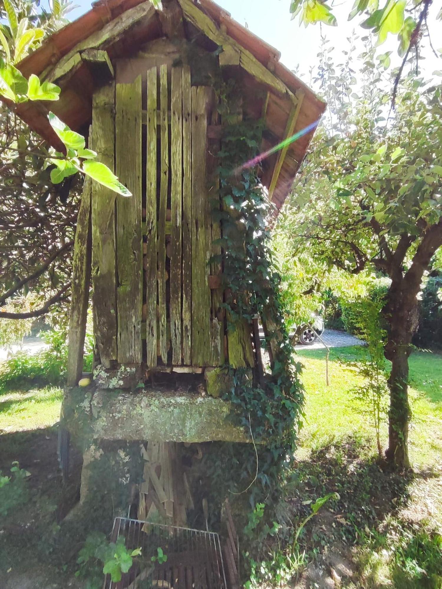 Quinta De Ribas Villa Amarante Bagian luar foto