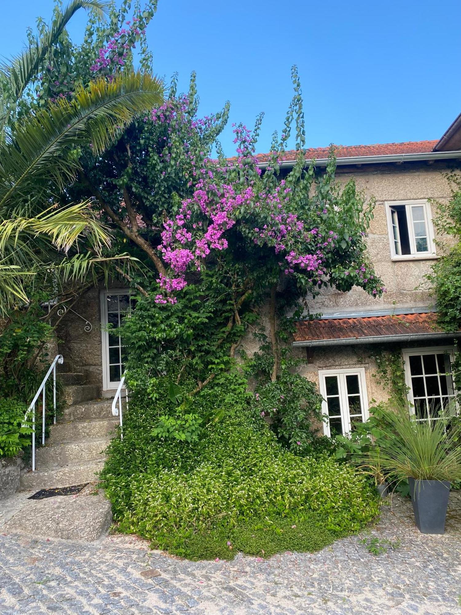 Quinta De Ribas Villa Amarante Bagian luar foto